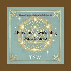 Abundance Awakening Mini Course